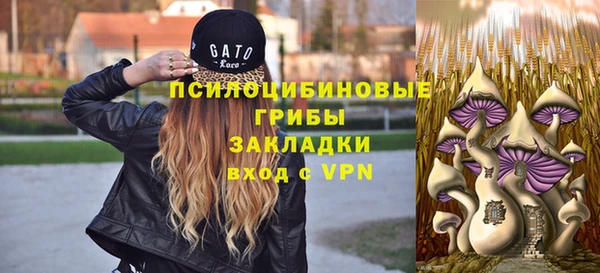 PSILOCYBIN Алексеевка