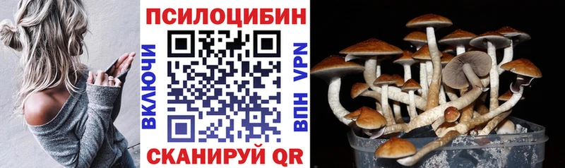 Галлюциногенные грибы Magic Shrooms Дмитровск