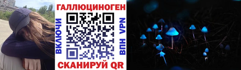 Псилоцибиновые грибы Cubensis  купить закладку  Дмитровск 